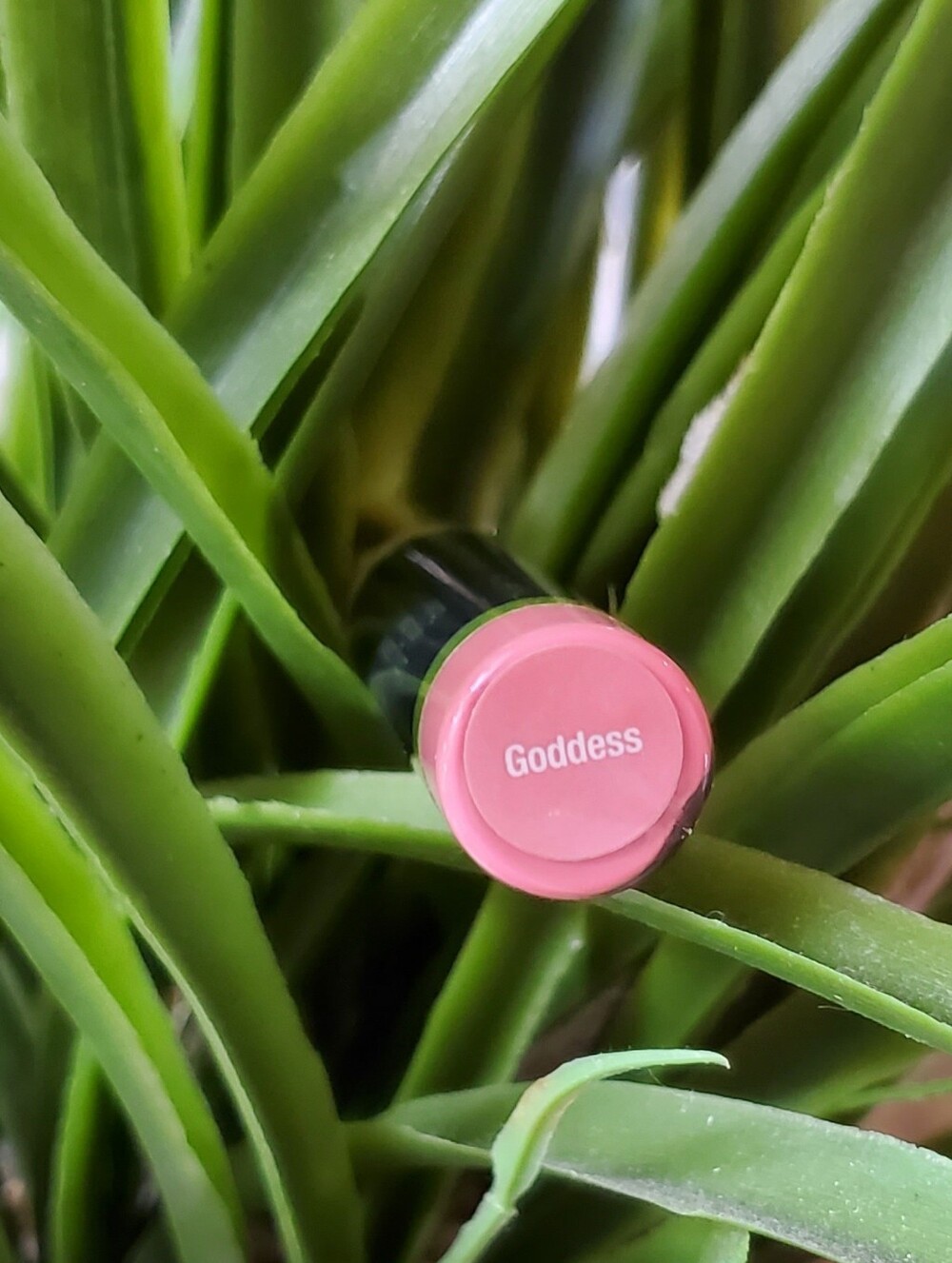 GODDESS LipSense - Picture 8 of 8